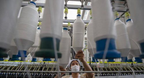 三重困境下的外貿工廠 接單、履約與收款之難，國內貿易轉型路在何方？